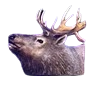 elk symbol