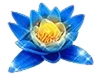 lotus flower symbol