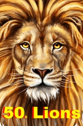 50 lions free slot game