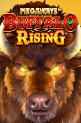 Buffalo Rising 