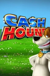 cash hound slot review