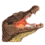 Crocodile
