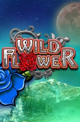 wild flower slot demo