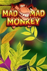 mad mad monkey slot review
