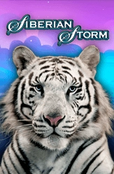 free slots machines siberian storm