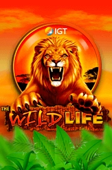 wild life slot game